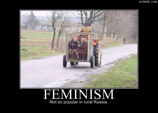 Feminism343.jpg