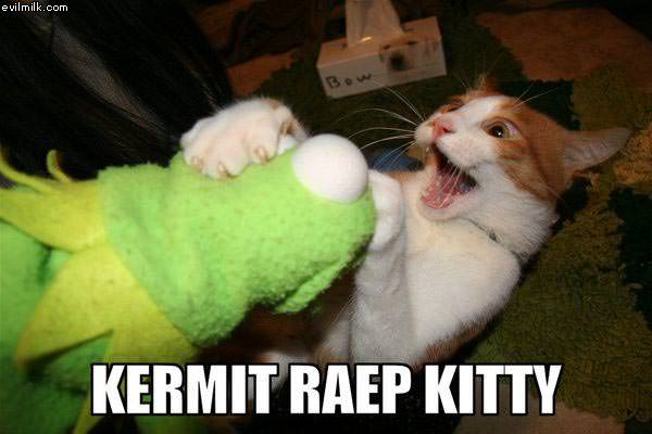 http://www.evilmilk.com/pictures/Kermit_And_Kitty.jpg