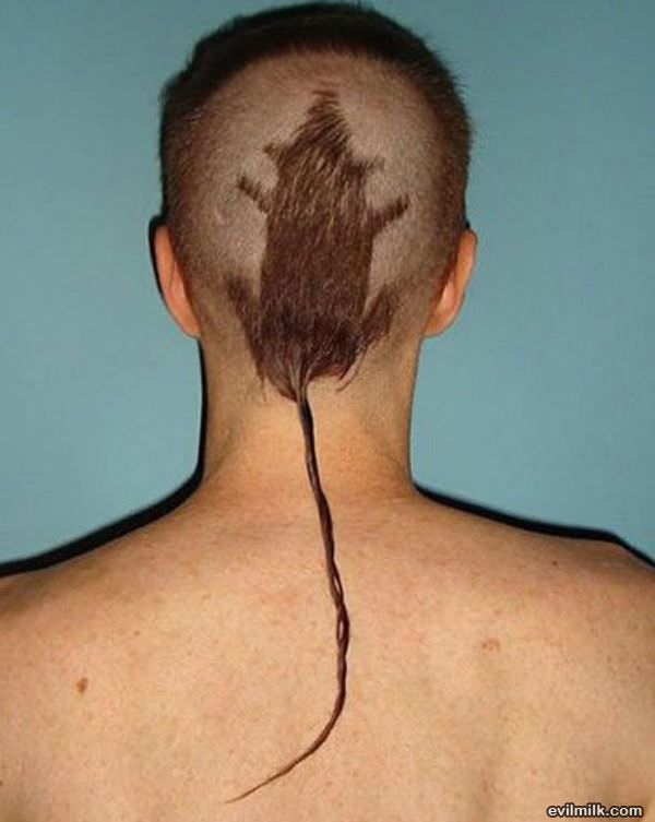 Rat Tail