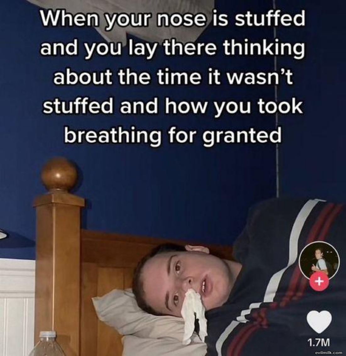 Stuffed Nose