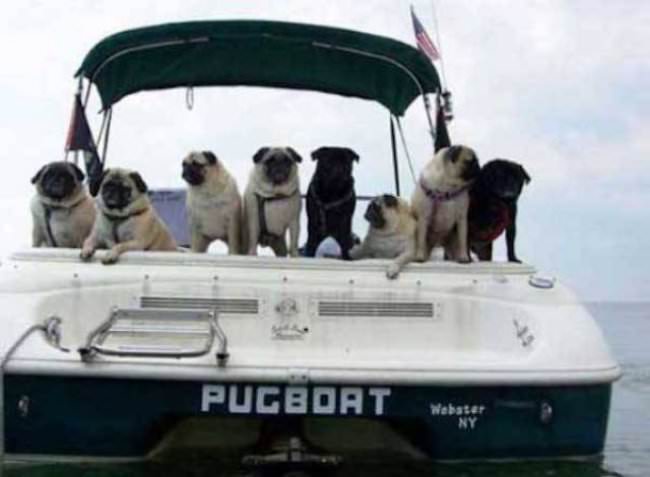 Boat Names