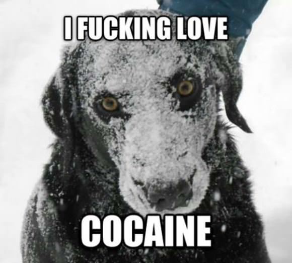 Cocaine Makes Her Fuck