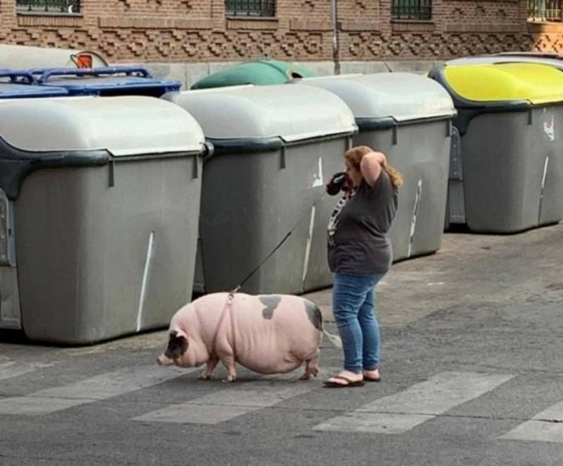 Прикольное сегодня. Нереально смешные картинки. Лучшие фотоприколы недели. Приколы сегодняшнего дня.