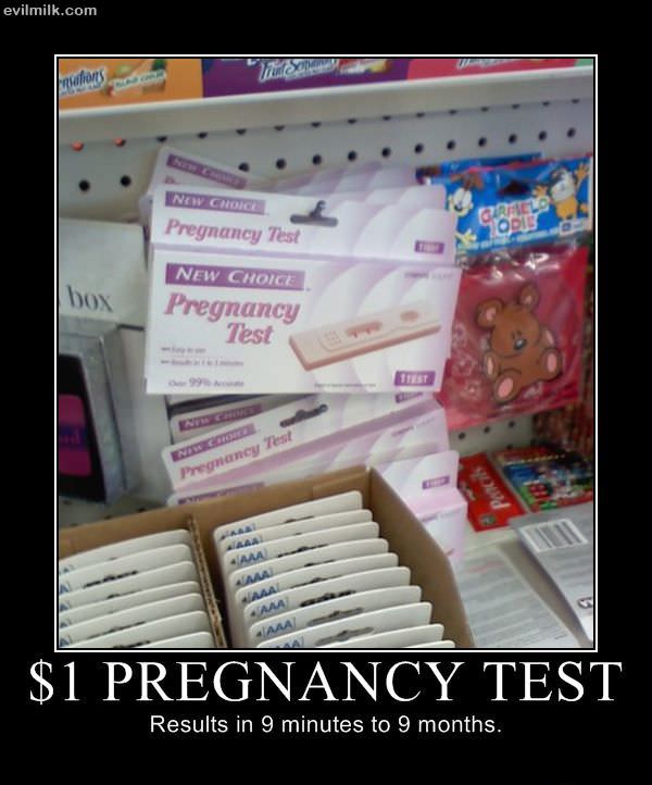 1 Dollar Preggo Test