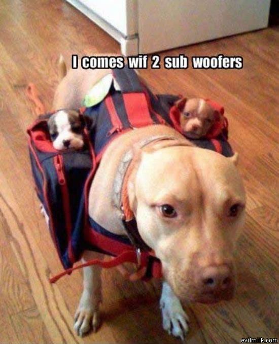 2 Sub Woofers