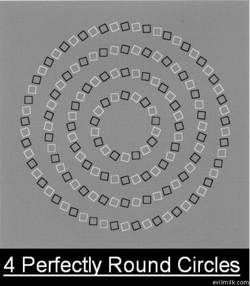 4 Round Circles