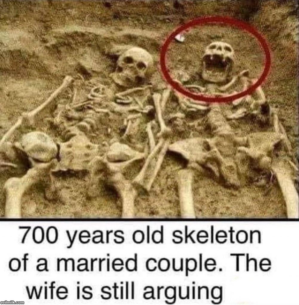 700 Years Old