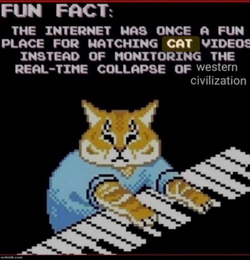 A Fun Fact