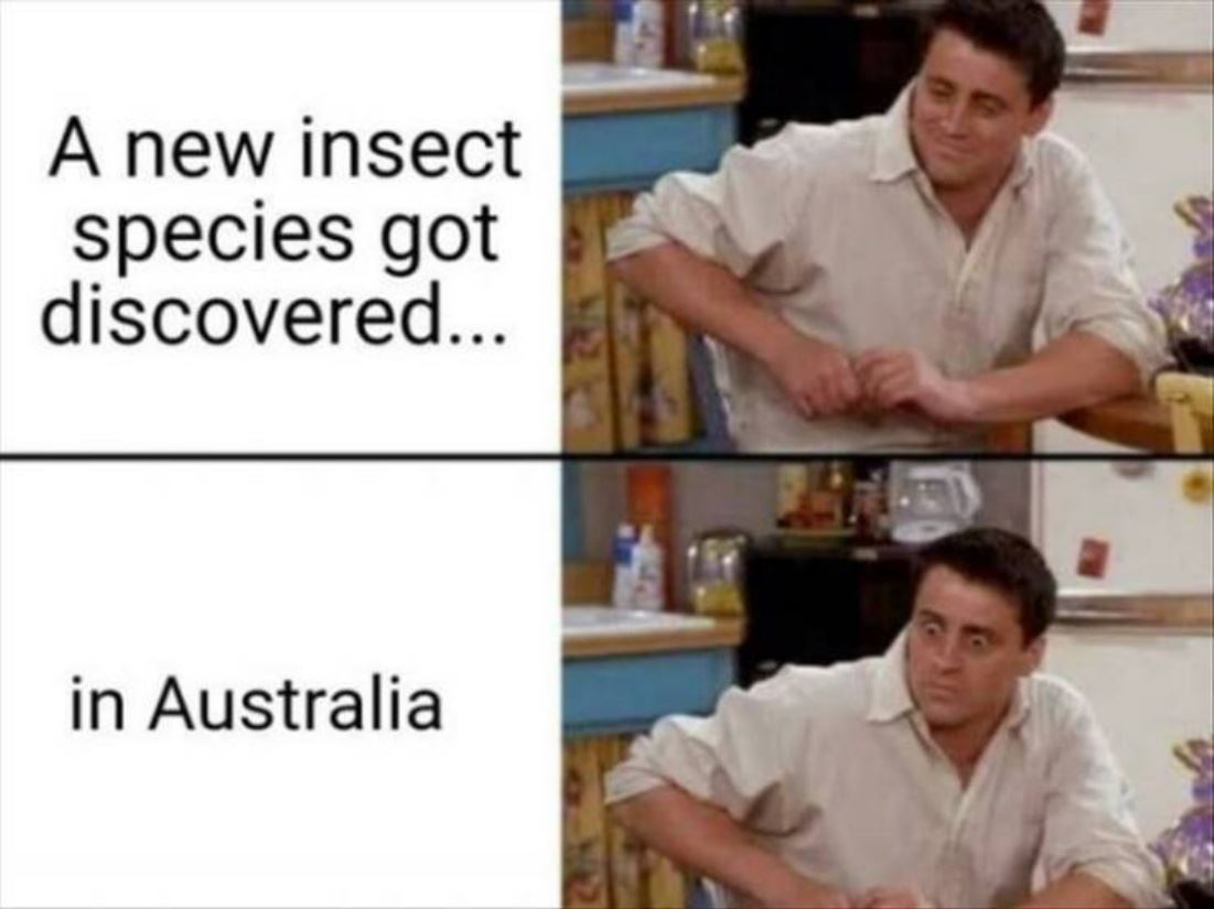 A New Species