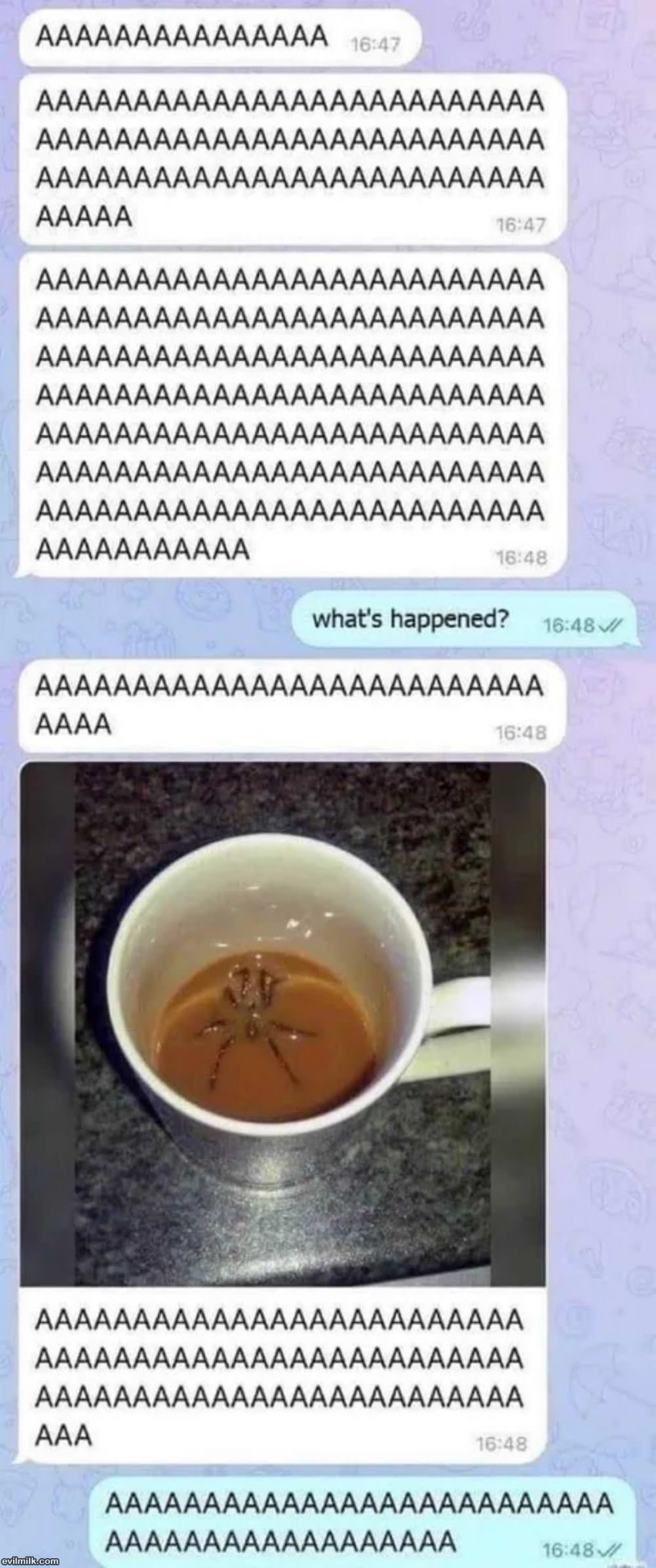 Aaaaaaa Aaaaaaa