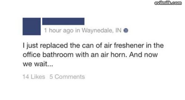 Air Freshener