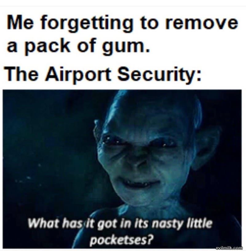 Airport Security