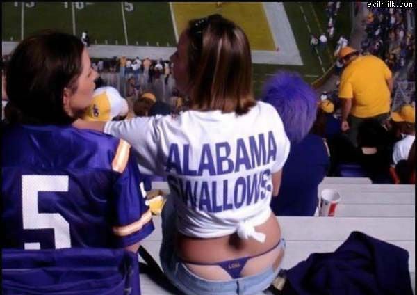 Alabama Swallows