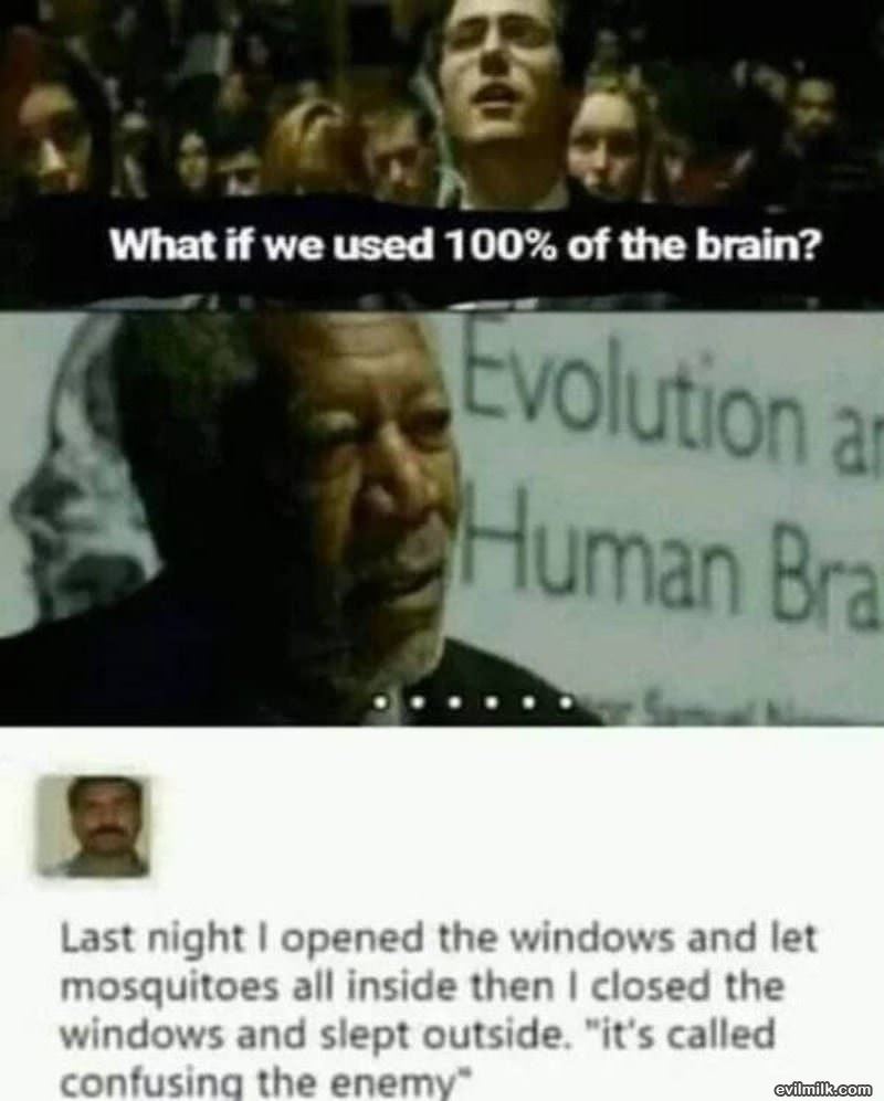 All Of The Brain