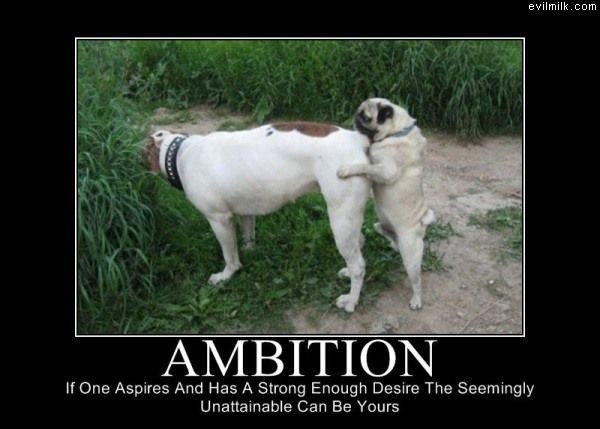 Ambition