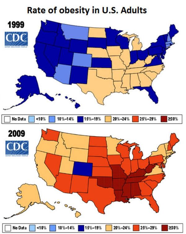 Рождаемость в сша. Ожирение в США статистика. Ожирение в США по Штатам. Статистика по Штатам США. Карта ожирения США.