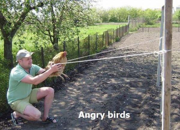 Angry Birds