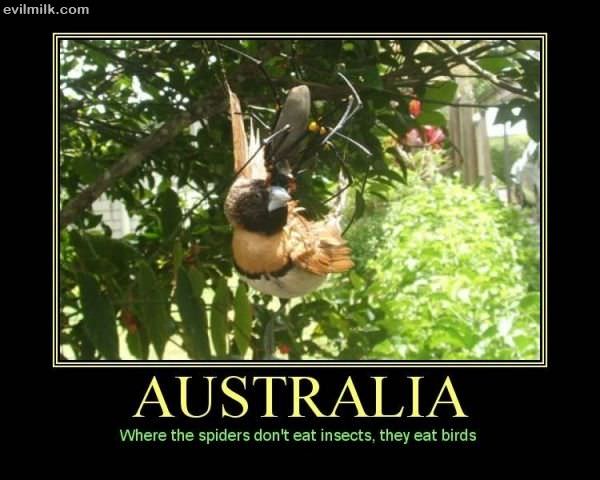 Australia