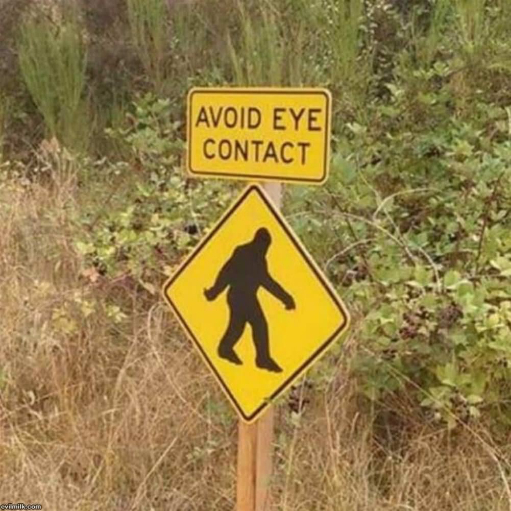 Avoid Eye Contact