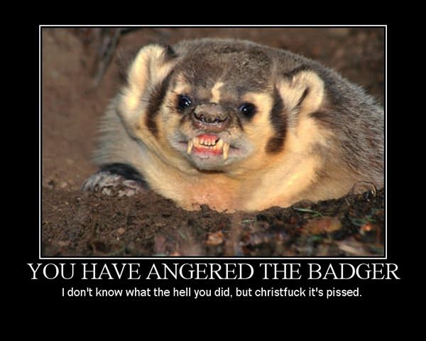 Badger Is Angry