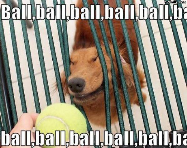 Ball Ball