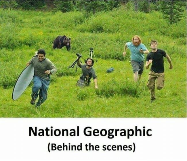 Behind The Scenes