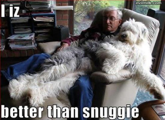 Better Than A Snuggie