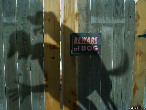 Beware Of Dog