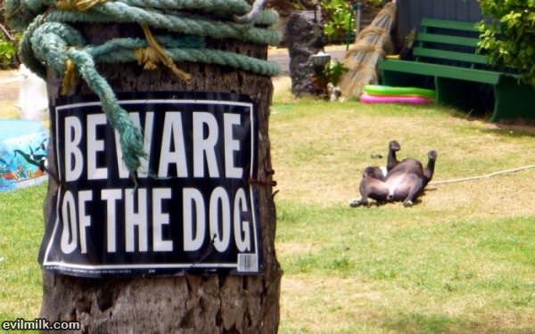 Beware Of The Dog