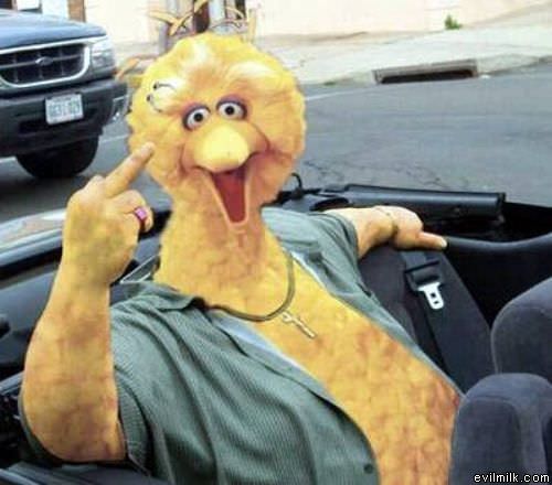 Big Bird