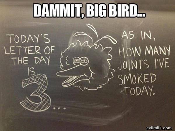 Big Bird