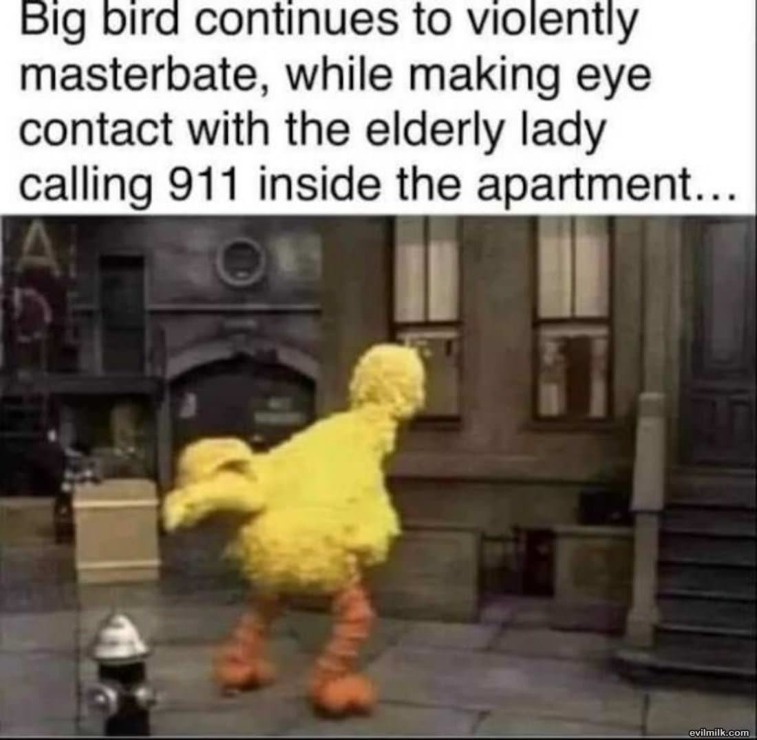 Big Bird Gone Wild