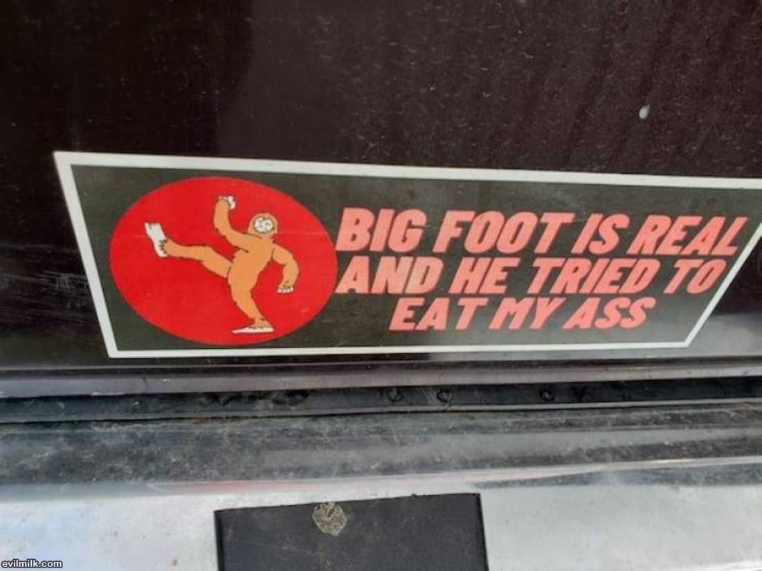 Big Foot Is Real