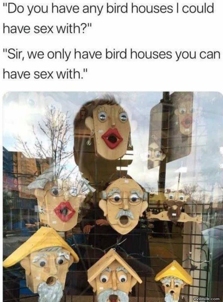 Bird Houses