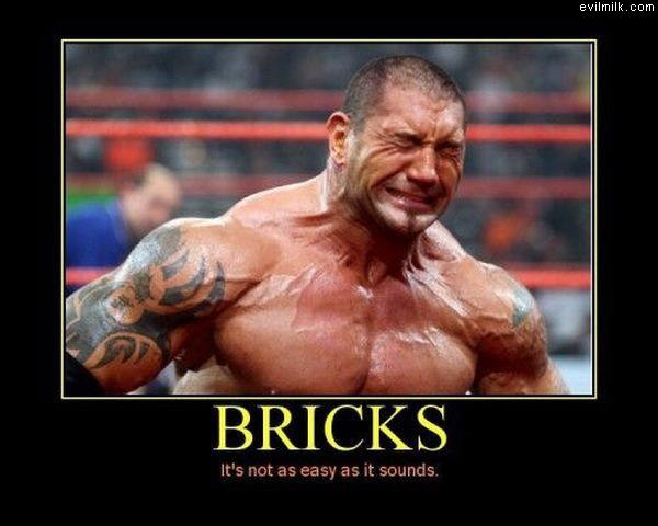 Bricks