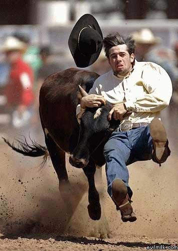 Bull Riding