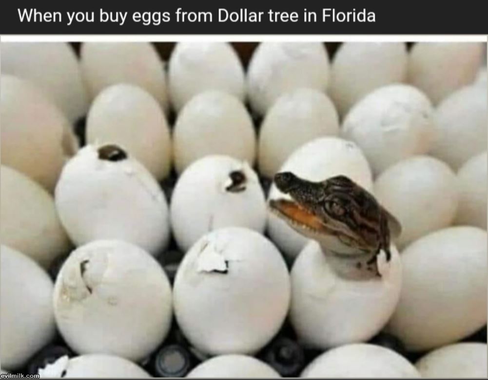 Buying Eggs