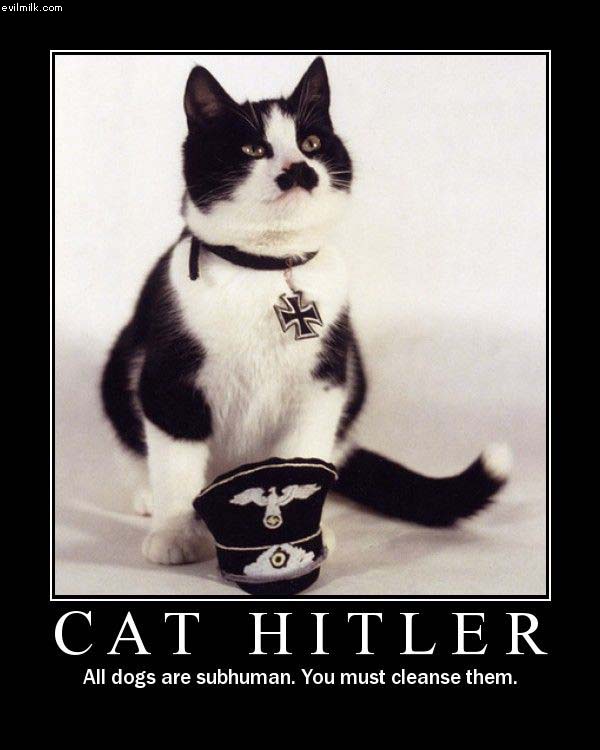 Cat Hitler