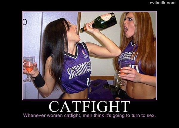 Catfights