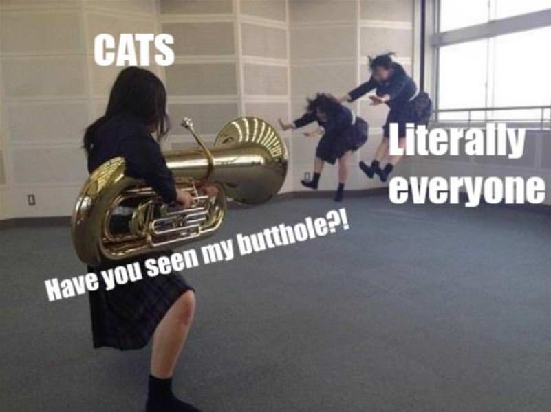 Cats