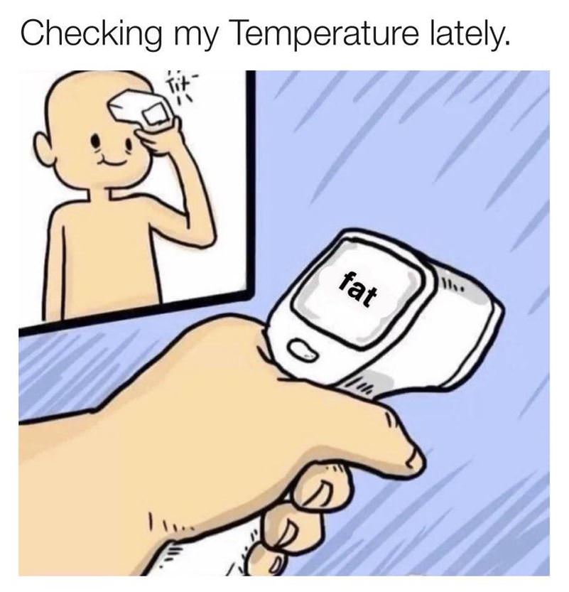 Checking My Temps