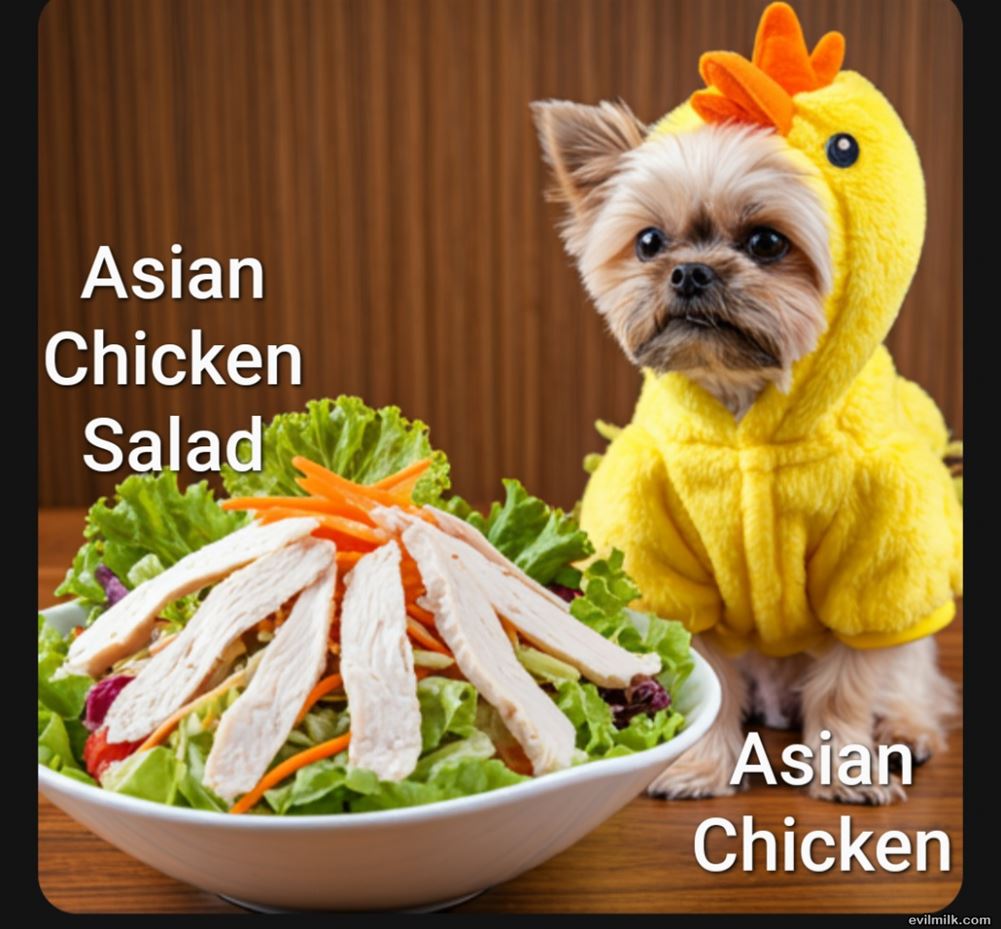 Chicken Salad