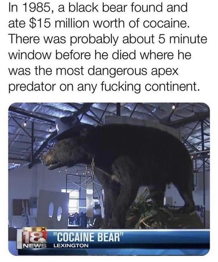 Cocaine Bear