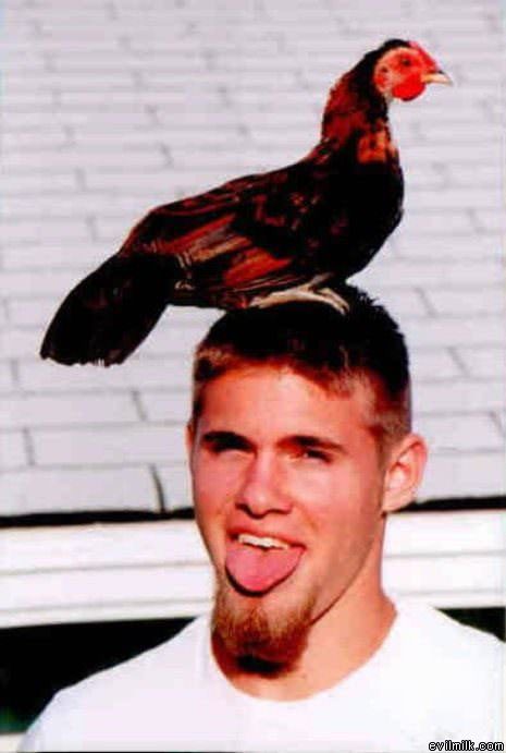 Cock On His Head