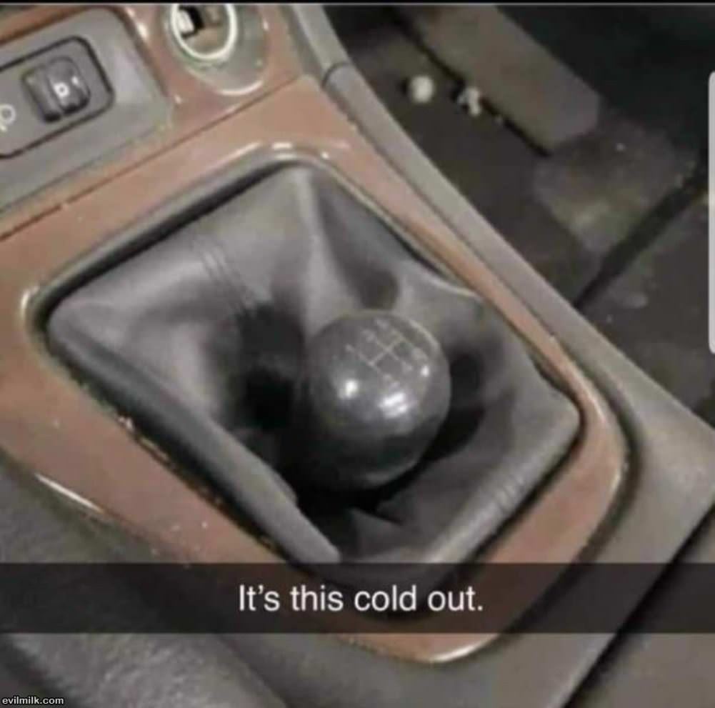 Cold Outside