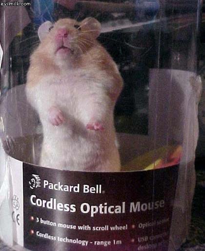 Cordless Optical Mouse