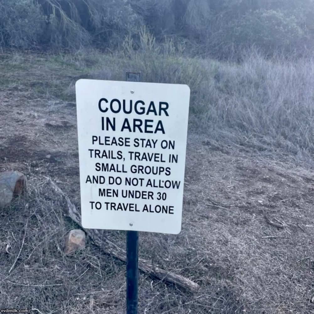 Cougar Area