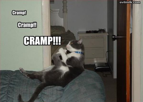 Cramp Cramp