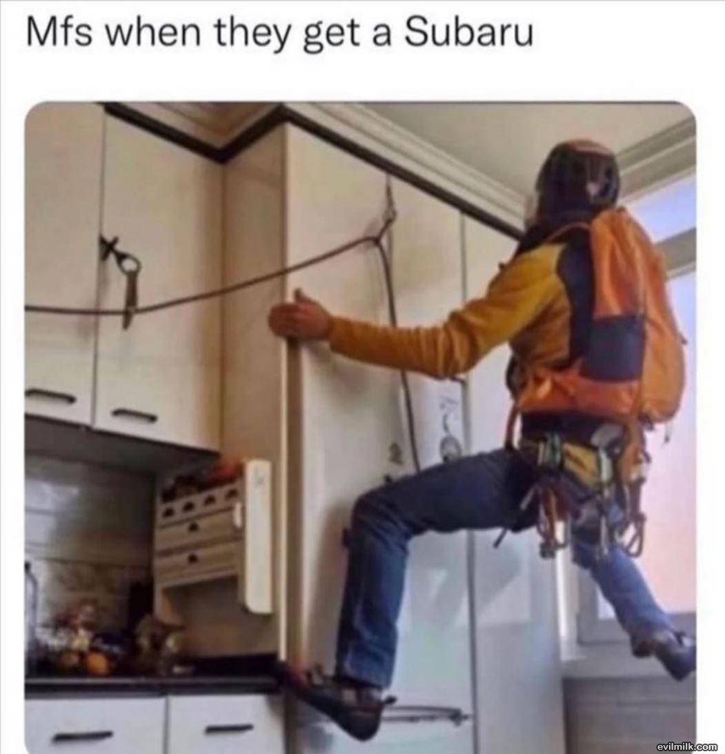 Damn Subaru