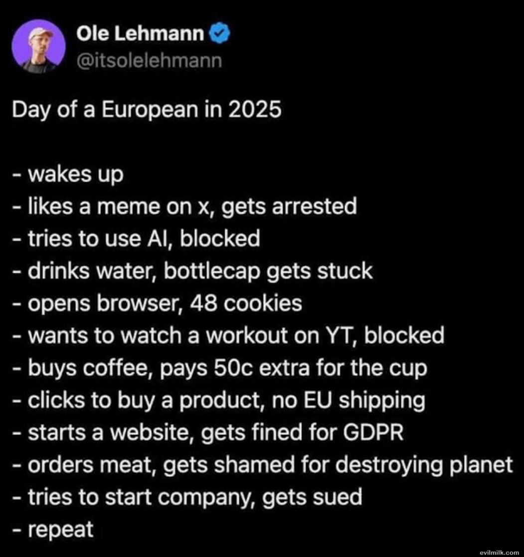 Day Of An Eu Citizen